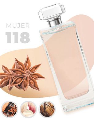 118 - Inspirado en NOA - 100ml
