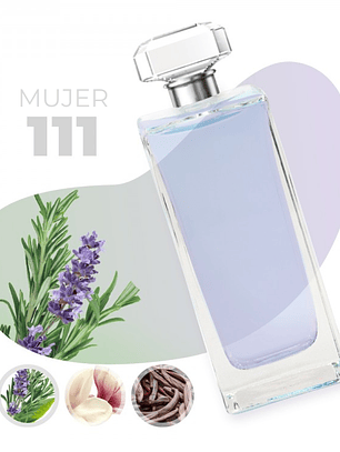 111 - Inspirado en GODDES - 100ml