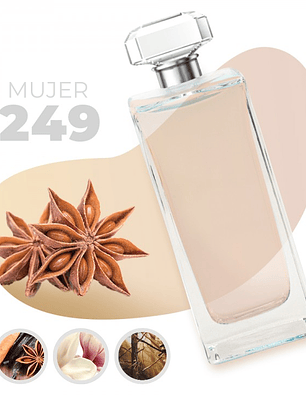 249 - Inspirado en MILLION GOLD FOR HER - 100ml
