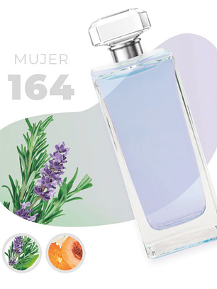 164 - Inspirado en Q - 100ml