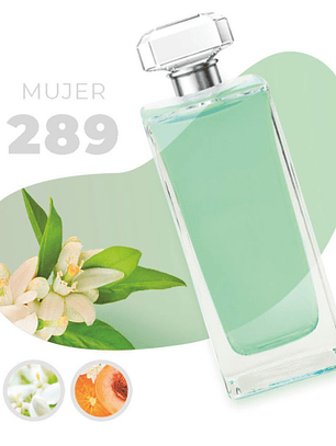 289 - Inspired by MON PARIS - 100ml