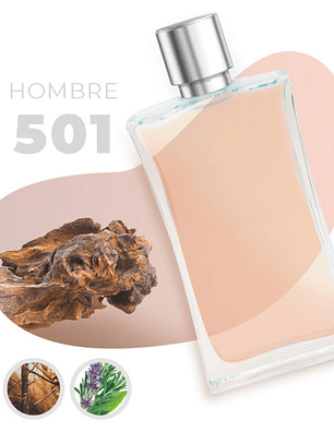 501 - Inspired by FIERCE - 100ml