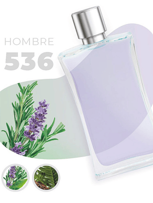 536 - Inspired by D&G POUR HOMME - 100ml