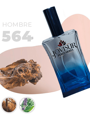 564 - Inspirado en LE BEAU - 100ml