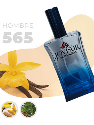 565 - Inspirado en LE MALE - 100ml