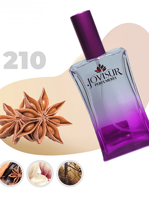 210 - Inspirado en DIVINE - 100ml