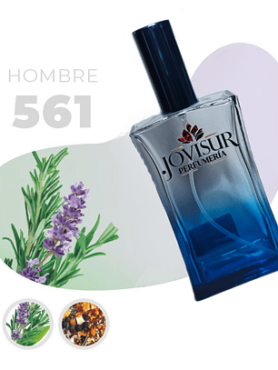 561 - Inspirado en THE SCENT - 100ml