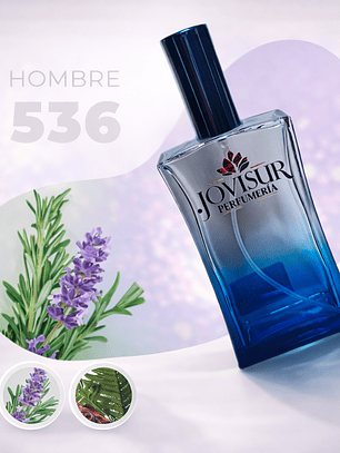 536 - Inspirado en D&G POUR HOMME - 100ml