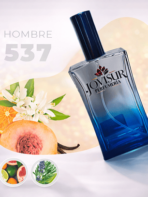 537 - Inspirado en LIGHT BLUE - 100ml