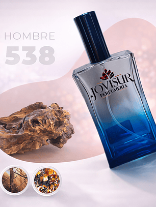 538 - Inspirado en THE ONE - 100ml