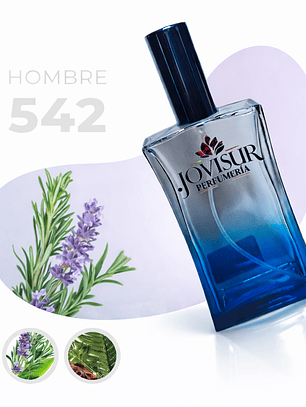 542 - Inspirado en STRONGER WITH YOU - 100ml