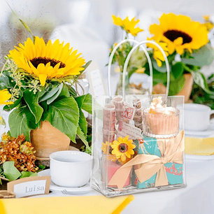 Bolsa Transparente PVC