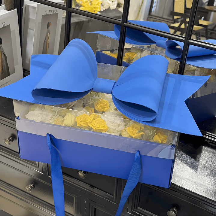 Caja de Regalo Transparente 4