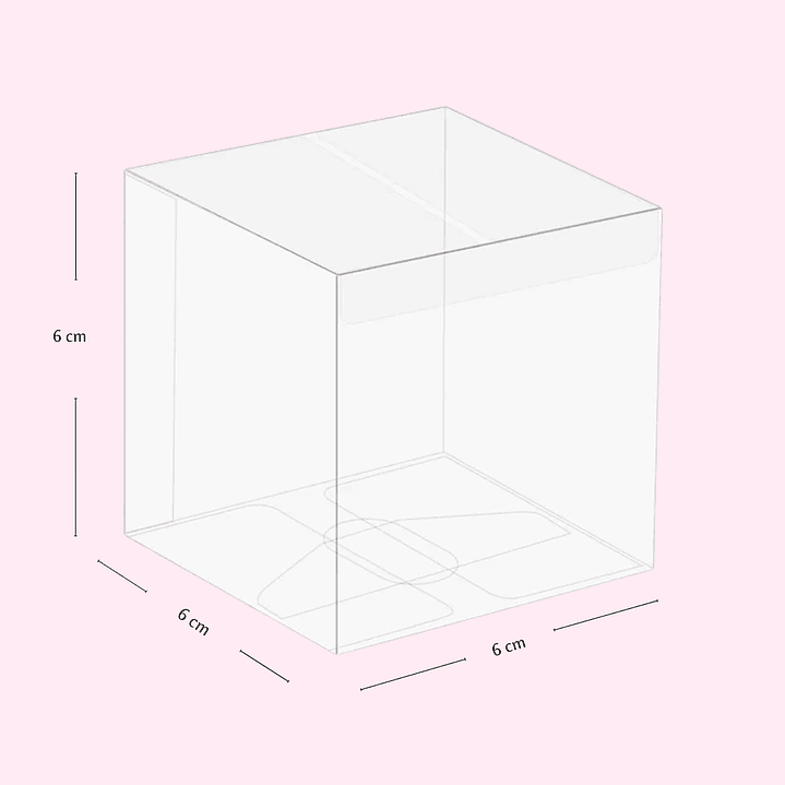 Caja de PVC Transparente 10