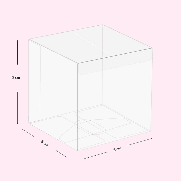 Caja de PVC Transparente 11