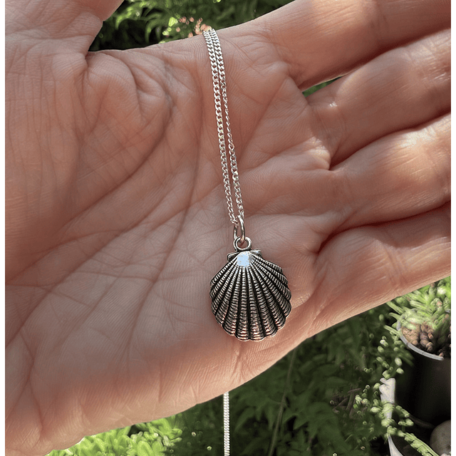Collar Colgante Almeja