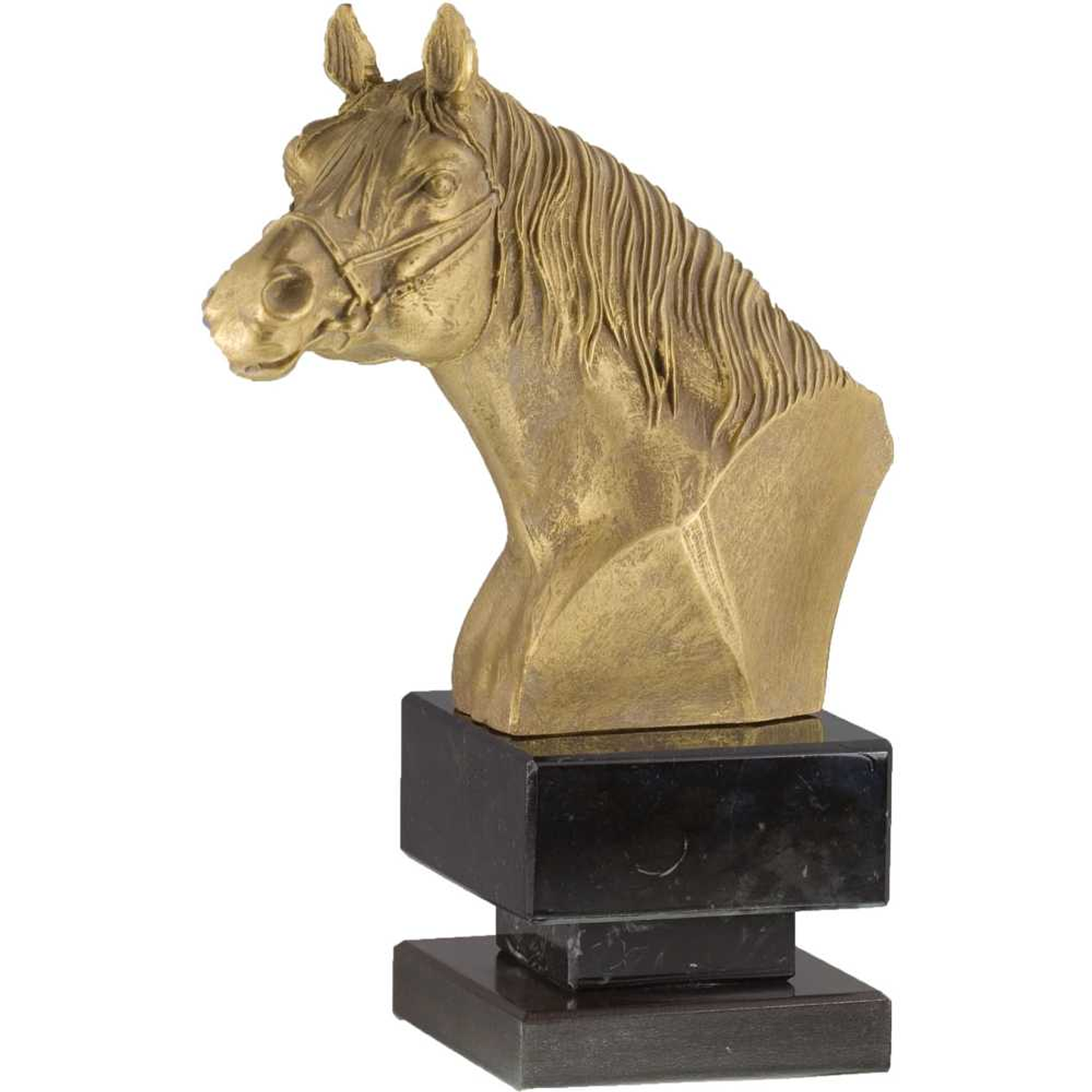 Figura ecuestre de rostro 1