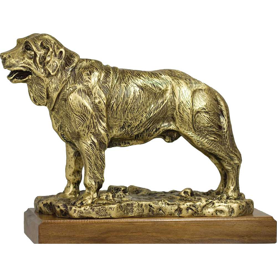 Figura de san bernardo 1