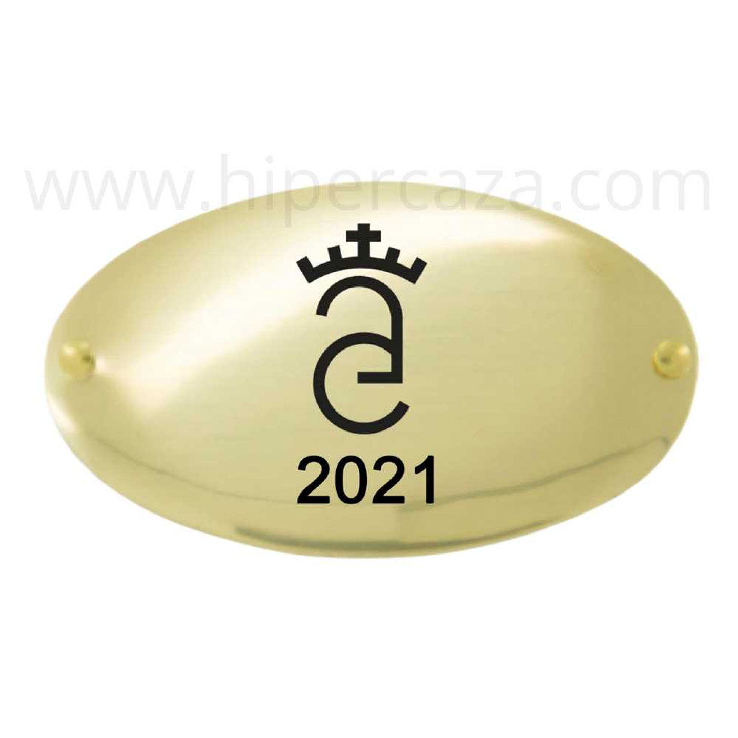 Chapa de hierro personalizado 1