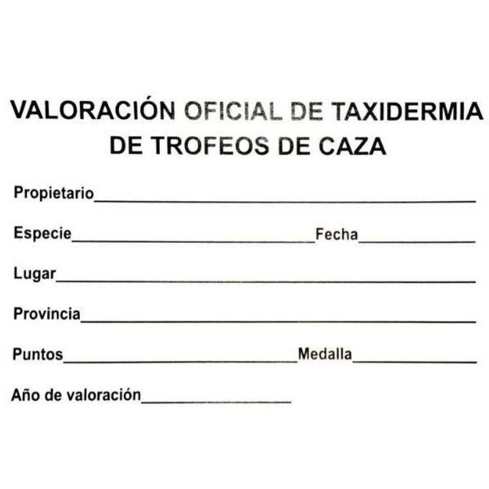 Medalla de homologación corzo plata 3