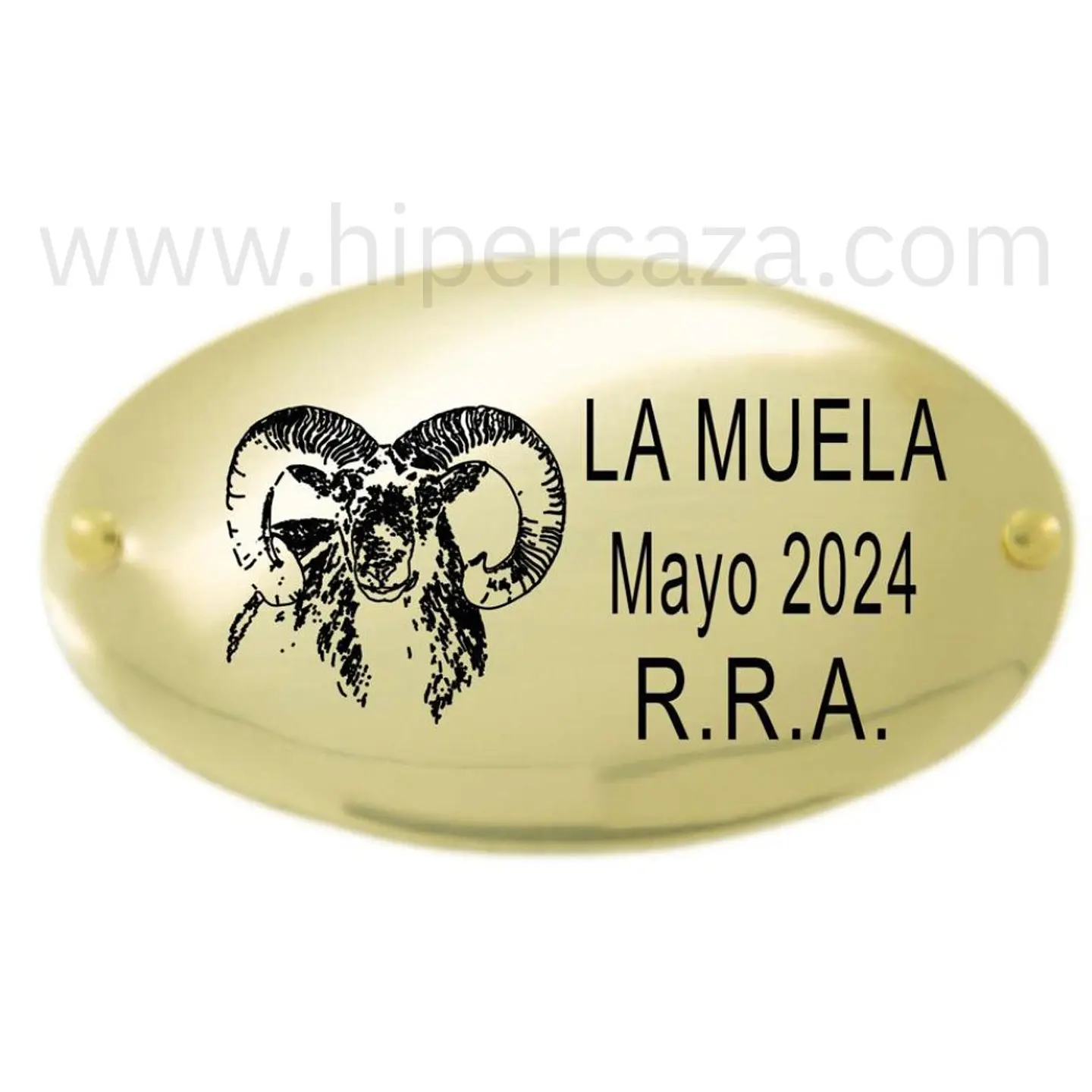 Chapa trofeo de caza personalizada con muflón  1
