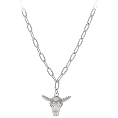 Gargantilla de búfalo plata