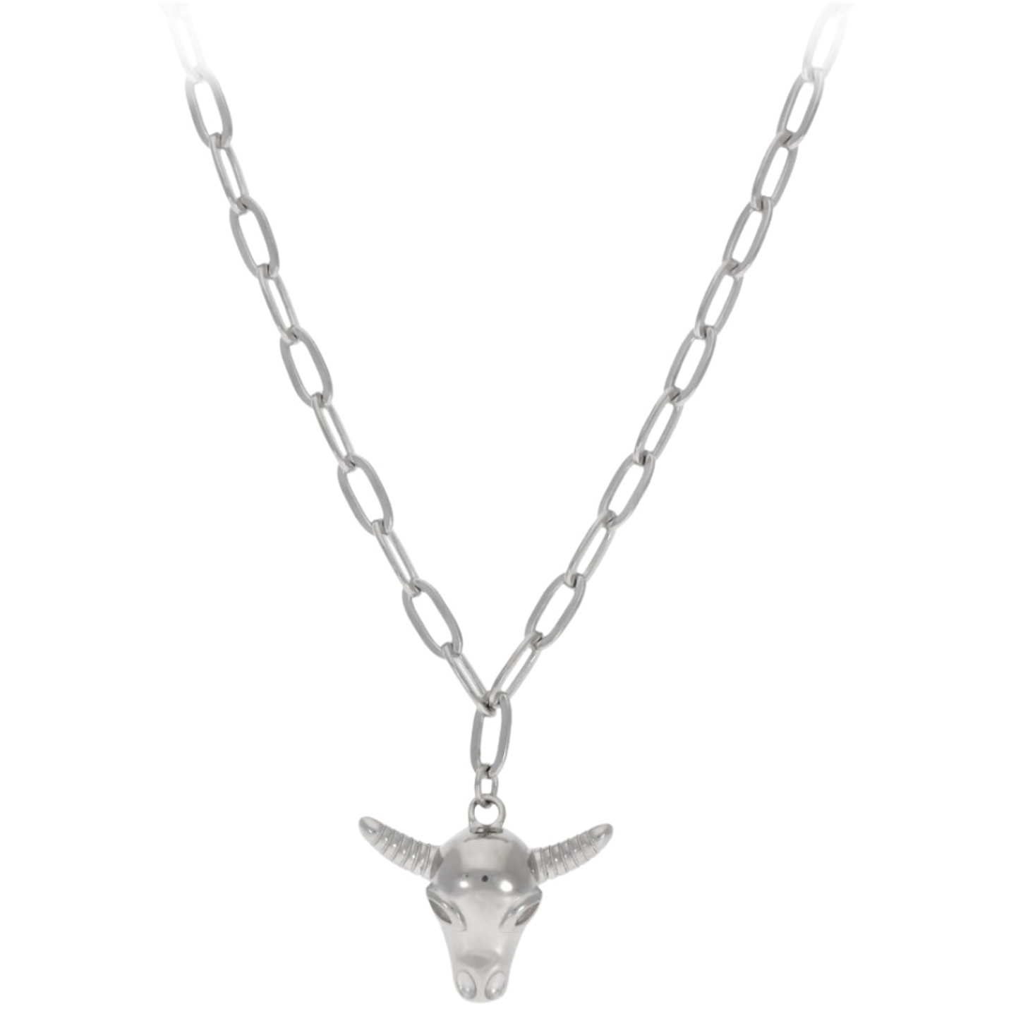 Gargantilla de búfalo plata 1