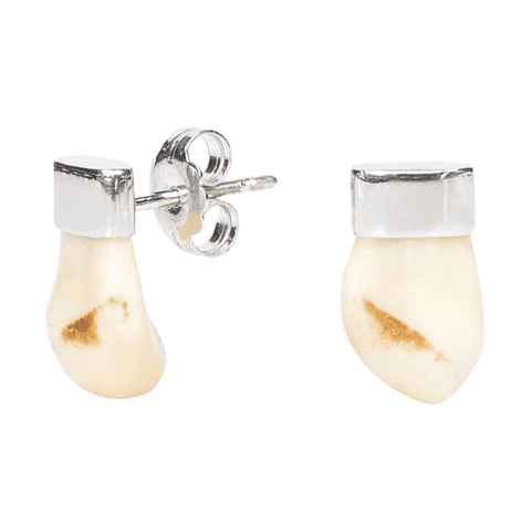 Pendientes perlas de venado 