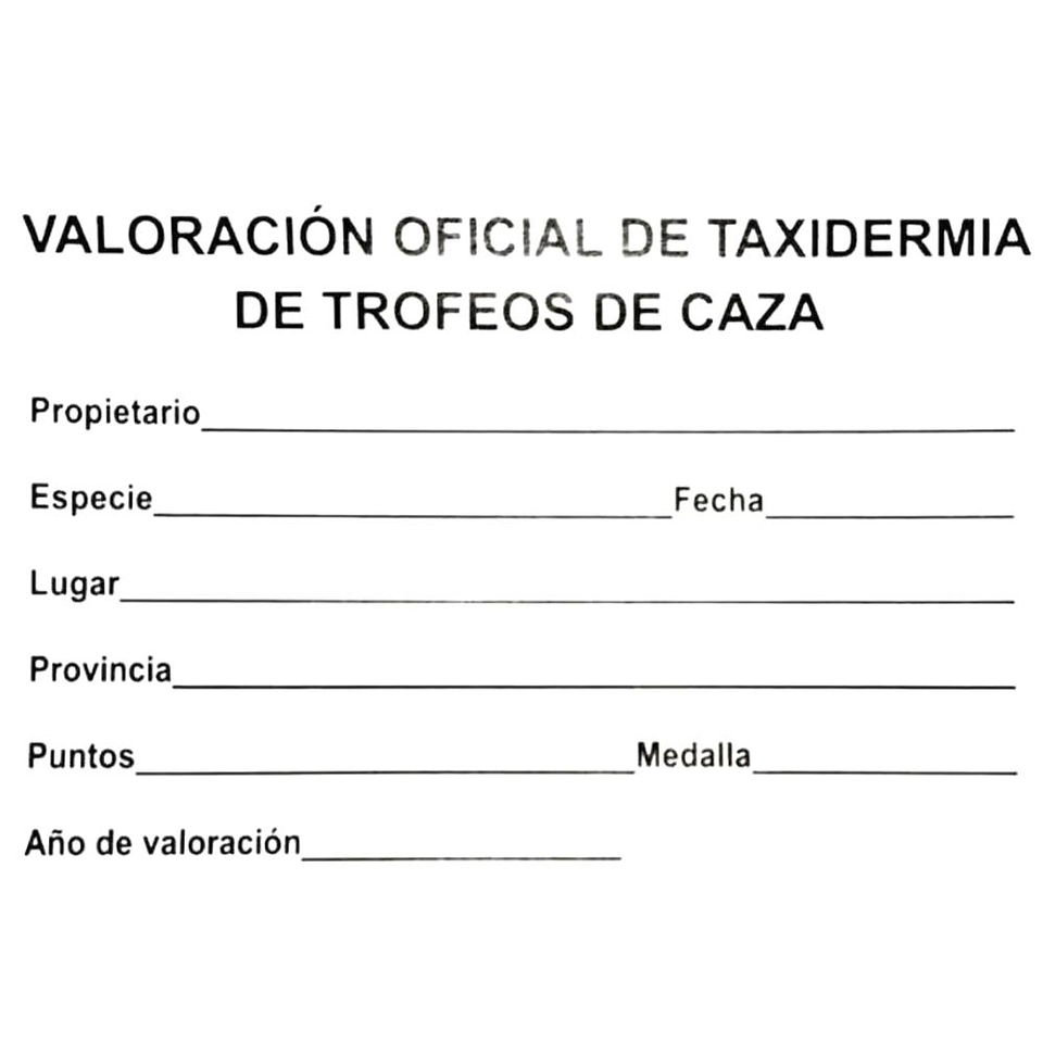 Medalla de homologación plata zorro 3