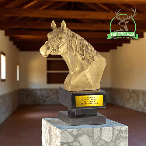 Figura ecuestre de rostro