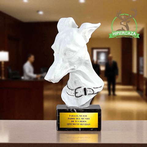 Figura busto de calgo 