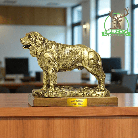 Figura de san bernardo