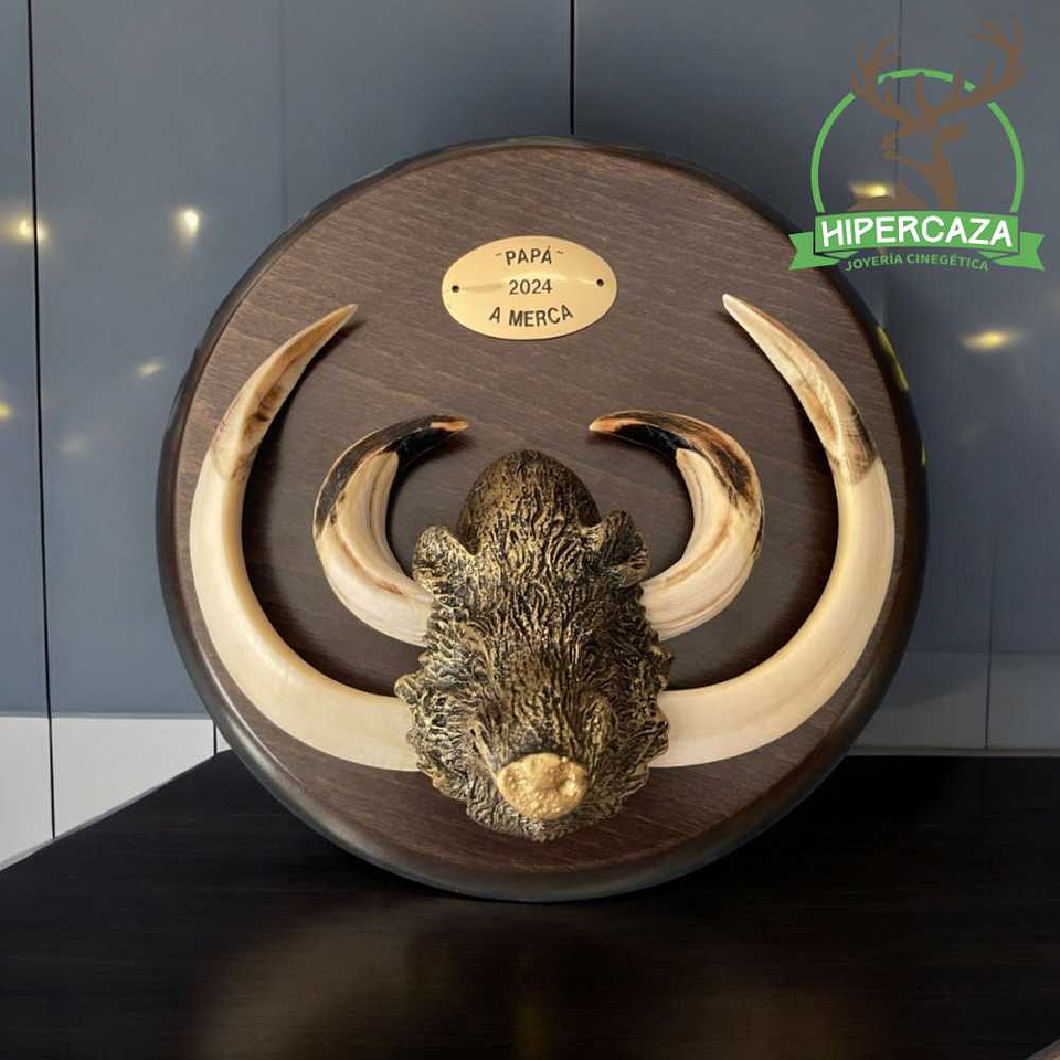 Cabeza de jabalí mediana para encasquillar colmillos  12