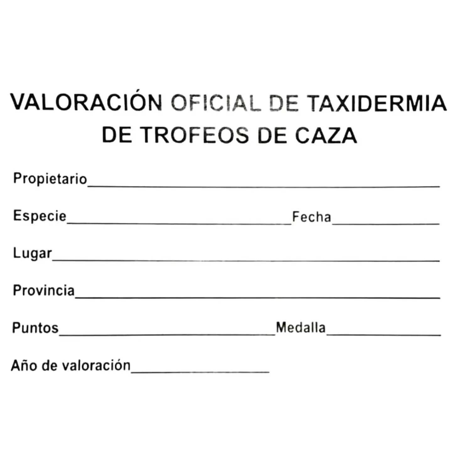 Medalla de homologación aurrí de plata  3