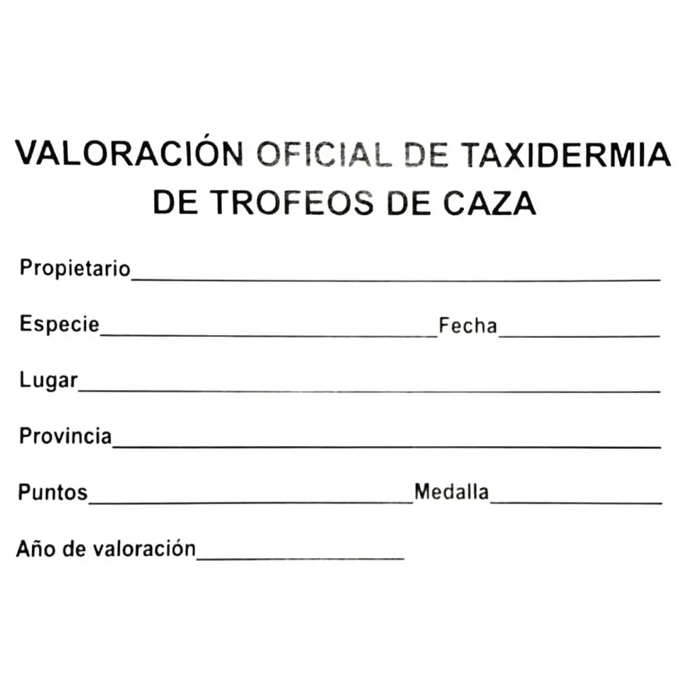 Medalla de homologación aurrí de plata  3