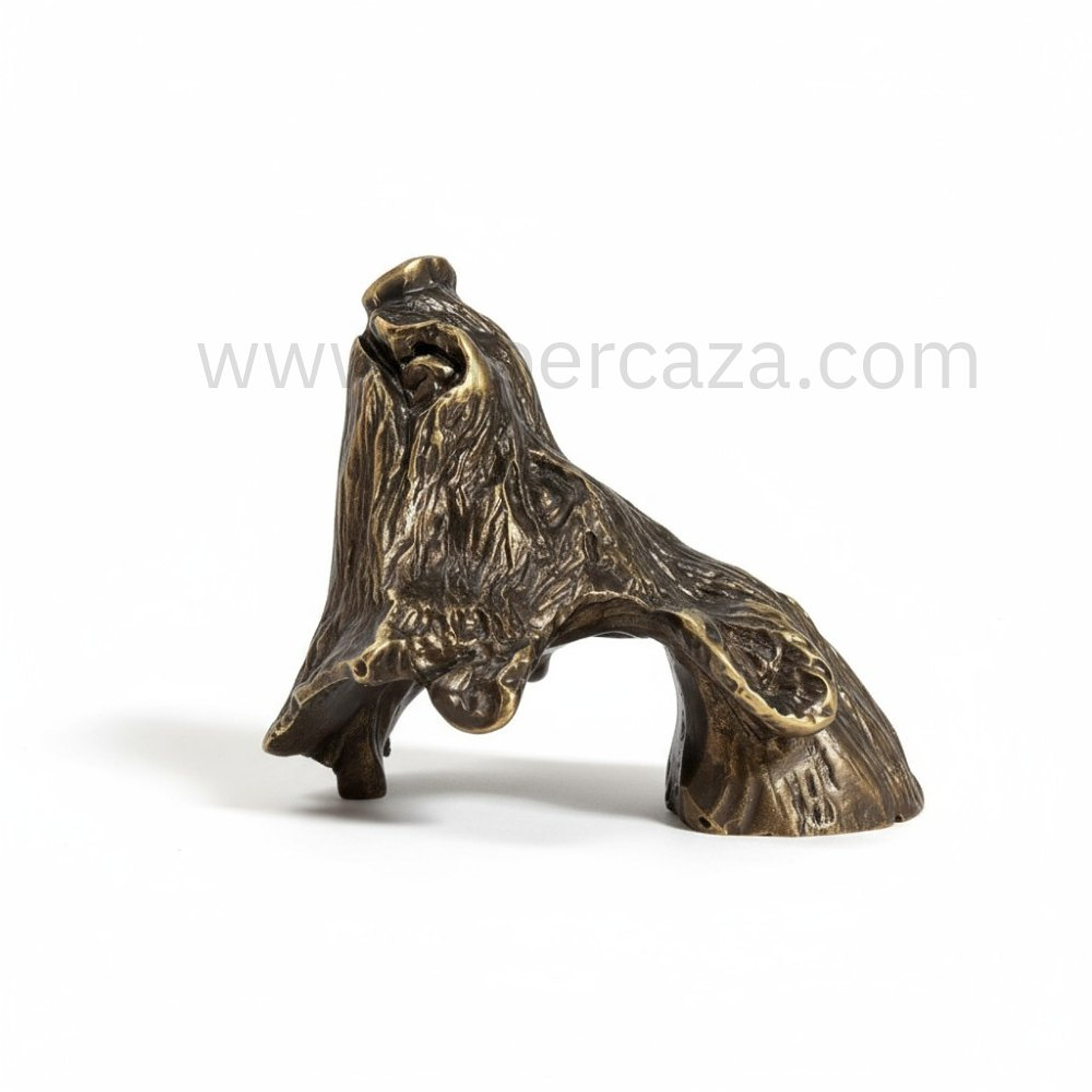 Cabeza de jabalí mediana para encasquillar colmillos  5