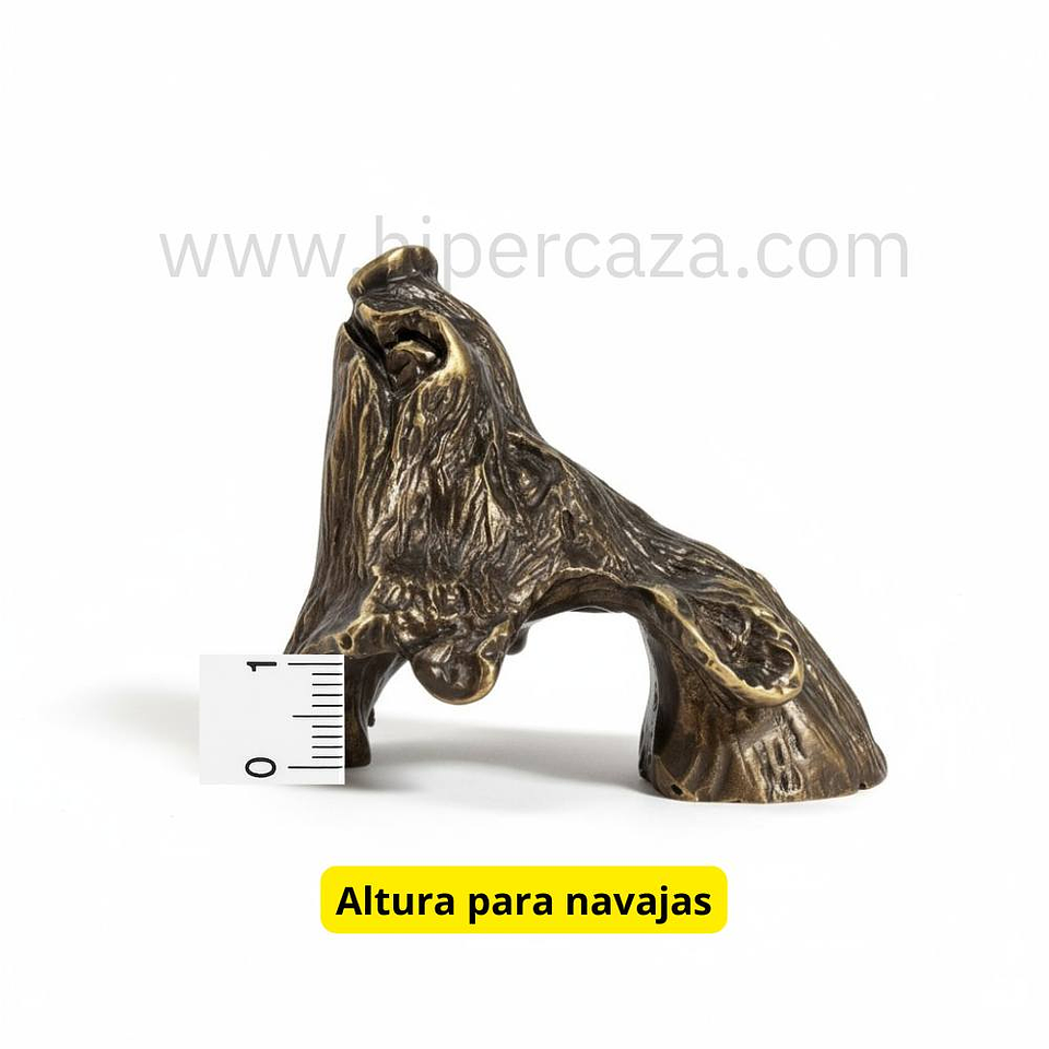 Cabeza de jabalí mediana para encasquillar colmillos  6