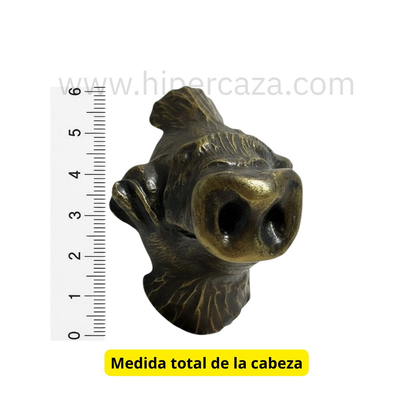 Cabeza de morritos para encasquillar colmillos 2