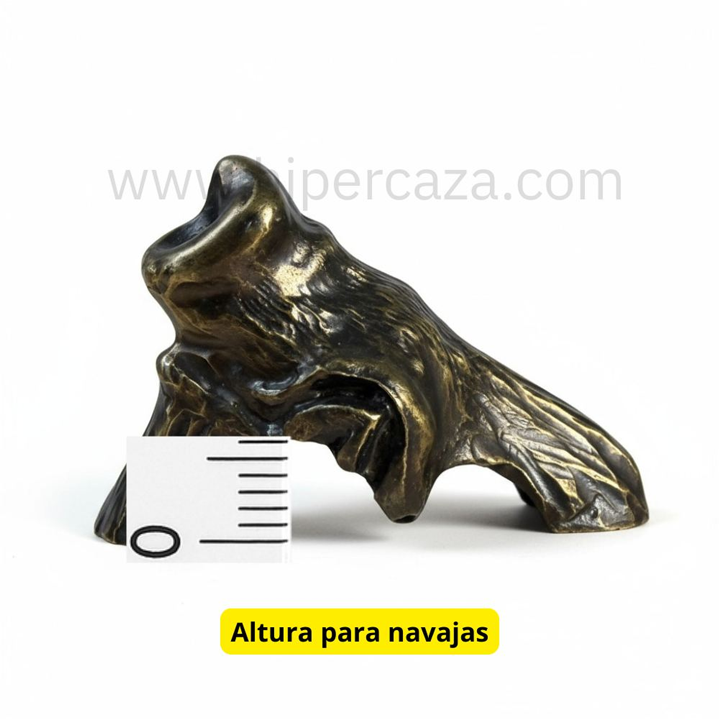 Cabeza de morritos para encasquillar colmillos 4