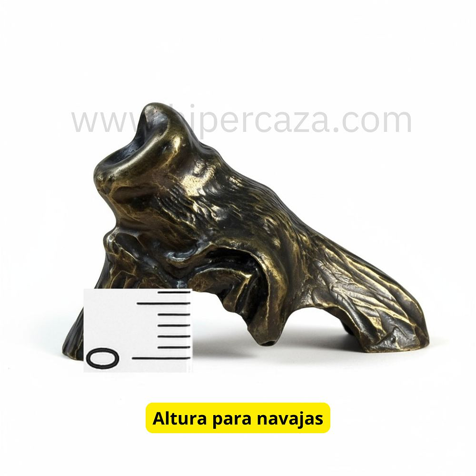 Cabeza de morritos para encasquillar colmillos 4