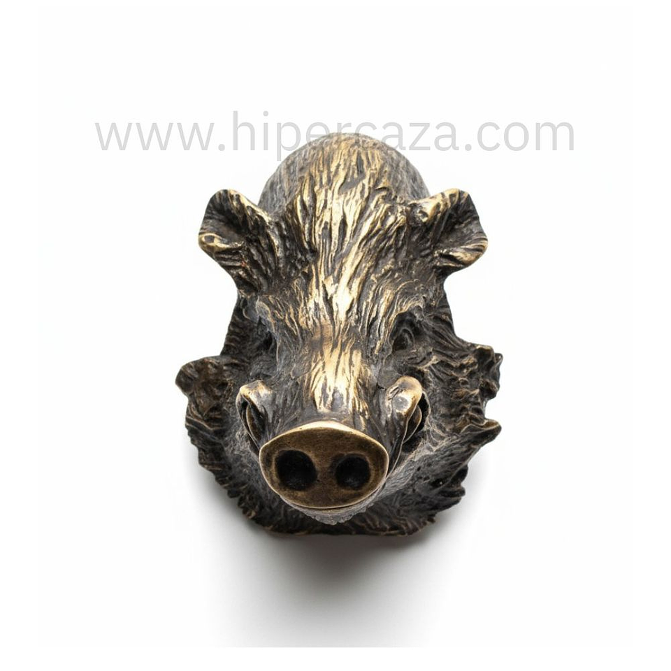 Cabeza de jabalí mediana para encasquillar colmillos  1