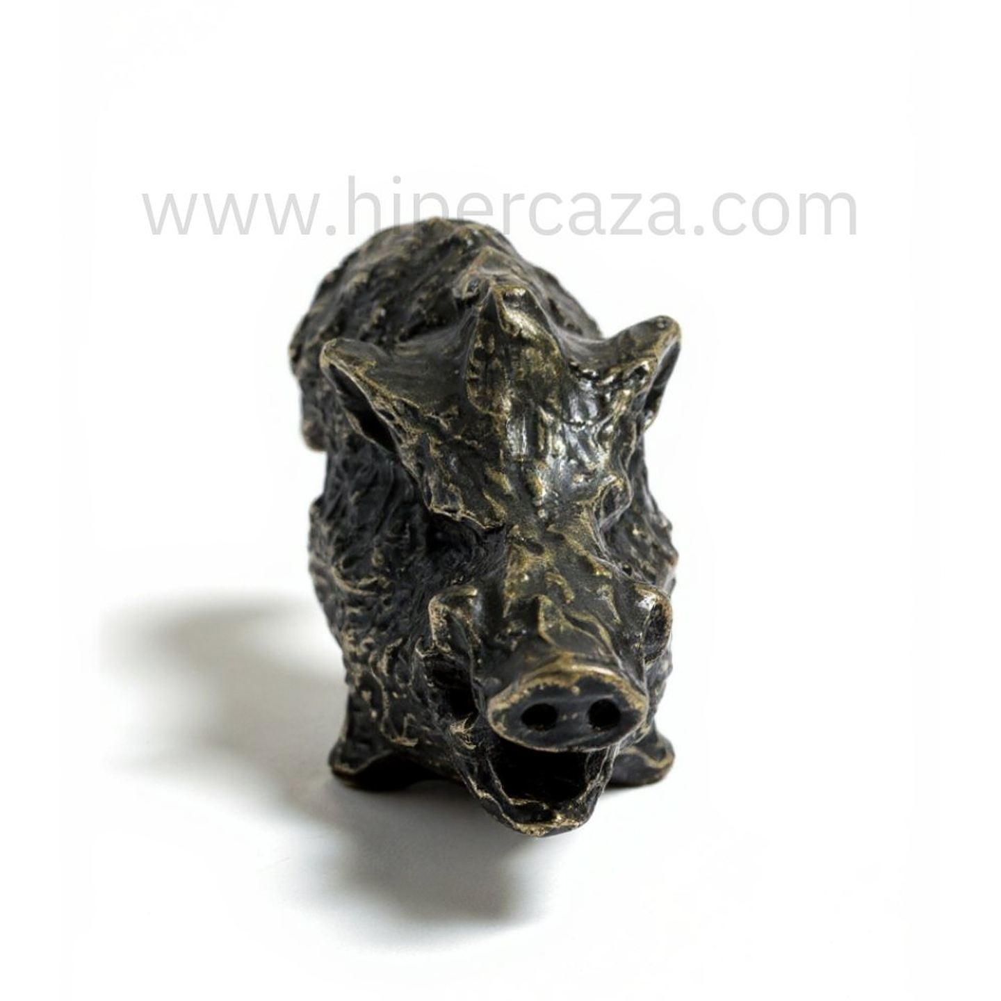 Cabeza de jabalí para encasquillar colmillos pequeña  1