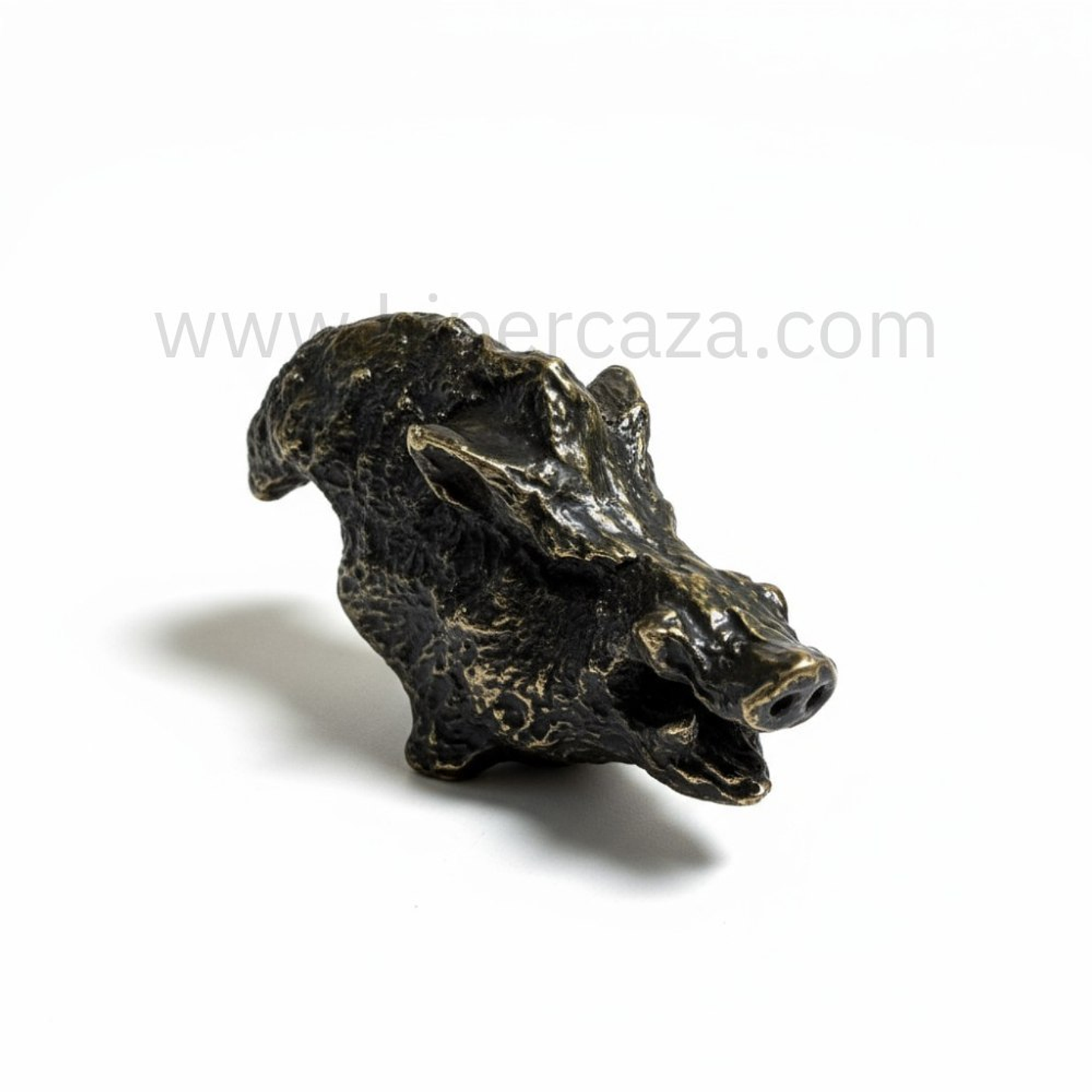 Cabeza de jabalí para encasquillar colmillos pequeña  3