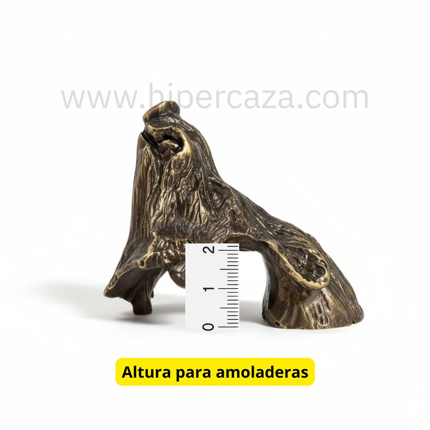 Cabeza de jabalí mediana para encasquillar colmillos  7