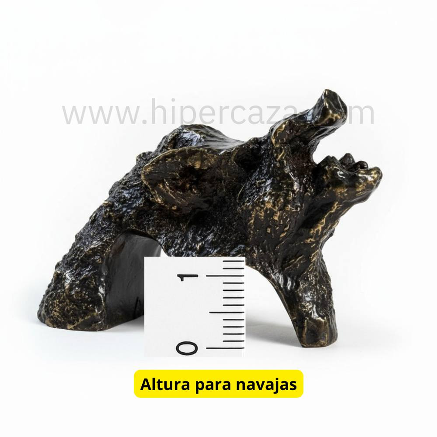 Cabeza de jabalí para encasquillar colmillos pequeña  5