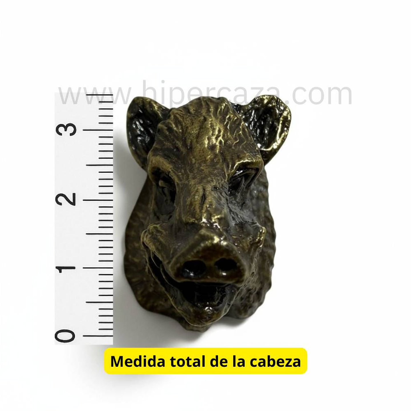 Cabeza de jabalí para decorar peana  2