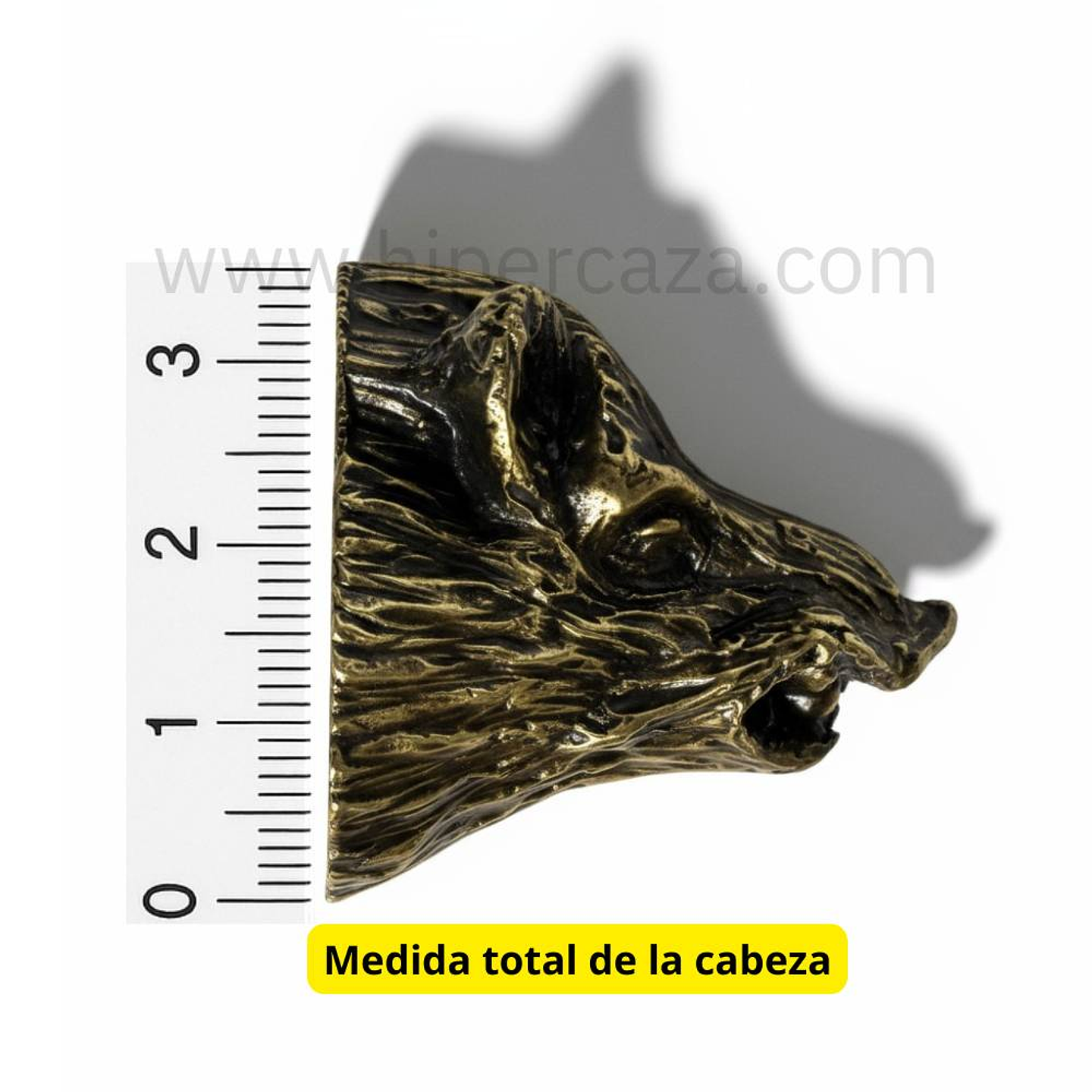 Cabeza de jabalí para decorar peana  5