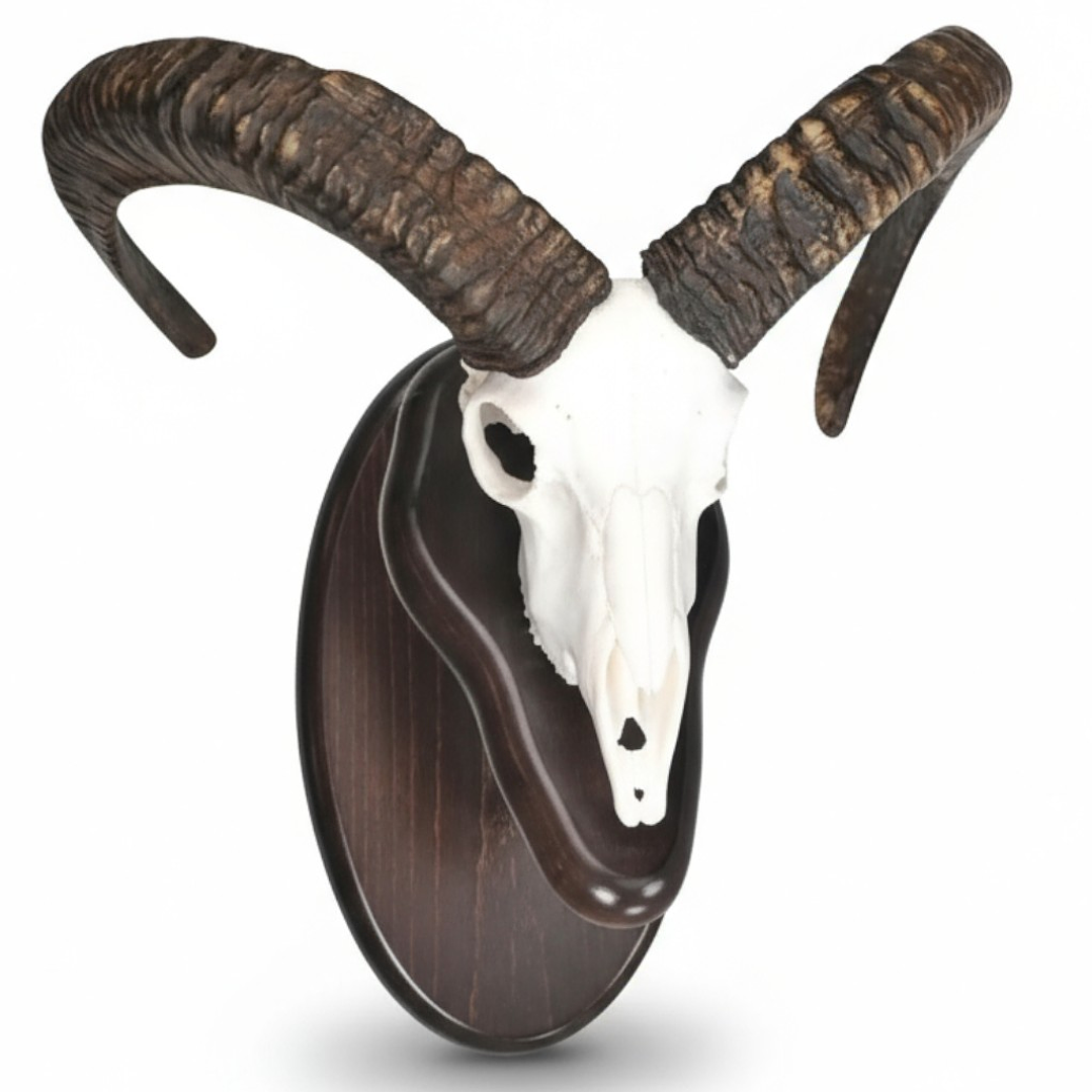 Conjunto muflón tres piezas  1