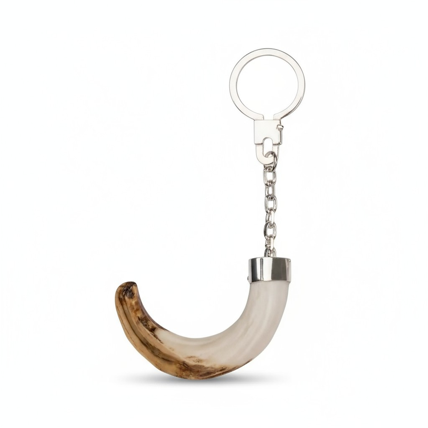 Llavero colmillo de jabalí 1