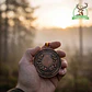 Medalla de homologación jabalí bronce - Thumbnail 5
